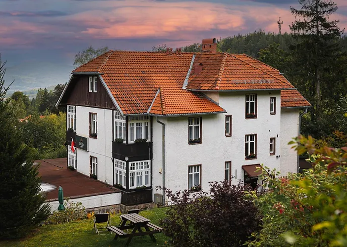 Perla Sudetow By カルパッチ